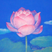 Junya Tsubota Gallery